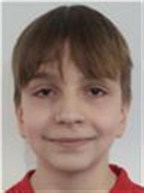 ML