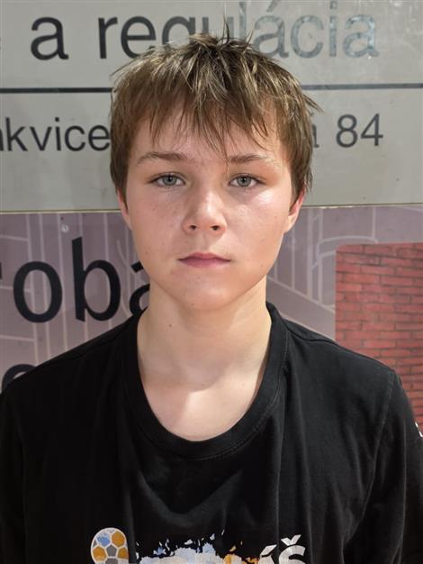 Patrik HOLEKŠI